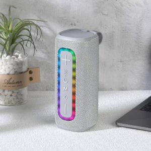 Enceinte Bluetooth T&G 428 – Gris