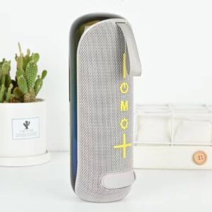 Enceinte Bluetooth T&G 384 mini – Gris