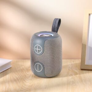 Enceinte Bluetooth T&G 697 – Gris