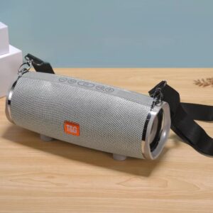 Enceinte Bluetooth T&G 189 - Gris