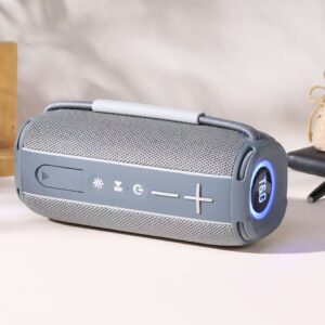 Enceinte Bluetooth T&G 696 – Gris