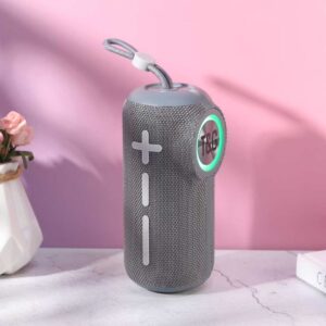 Enceinte Bluetooth T&G 698 – Gris