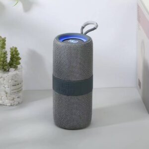 Enceinte Bluetooth T&G 671 – Gris